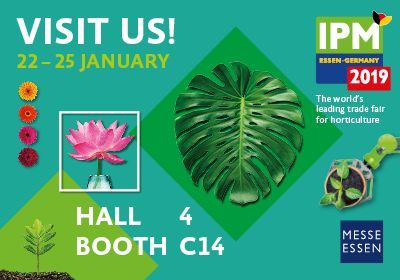 Masecor will attend IPM 2019