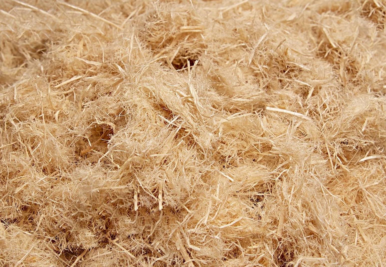 Nueva línea de producción de fibra de madera