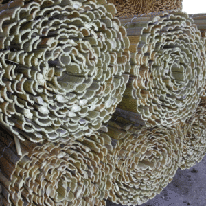 Cañizo Rajado