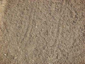 Seed Cover Mas-2. Recommended for seed covering