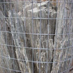 Monolithe Gneiss