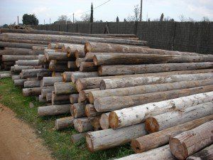 Reclaimed Wooden Posts