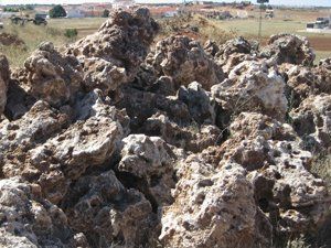 Rock Garden Flint
