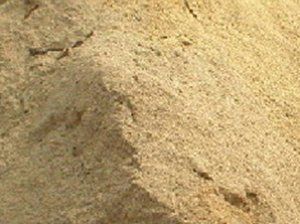 Sawdust