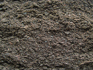 Terreau Universel. Eco