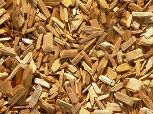 Wood Splinter