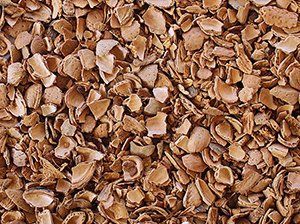 Almond Shell