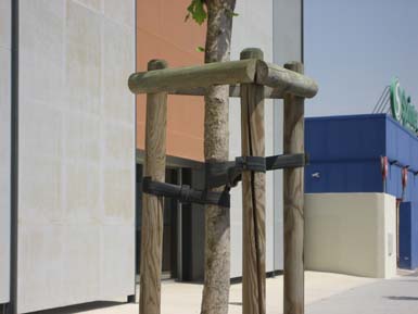 Tree Ties & Hoop Collars