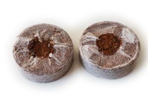 Coco Peat Jiffy