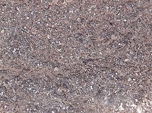 Substrate for Truffles
